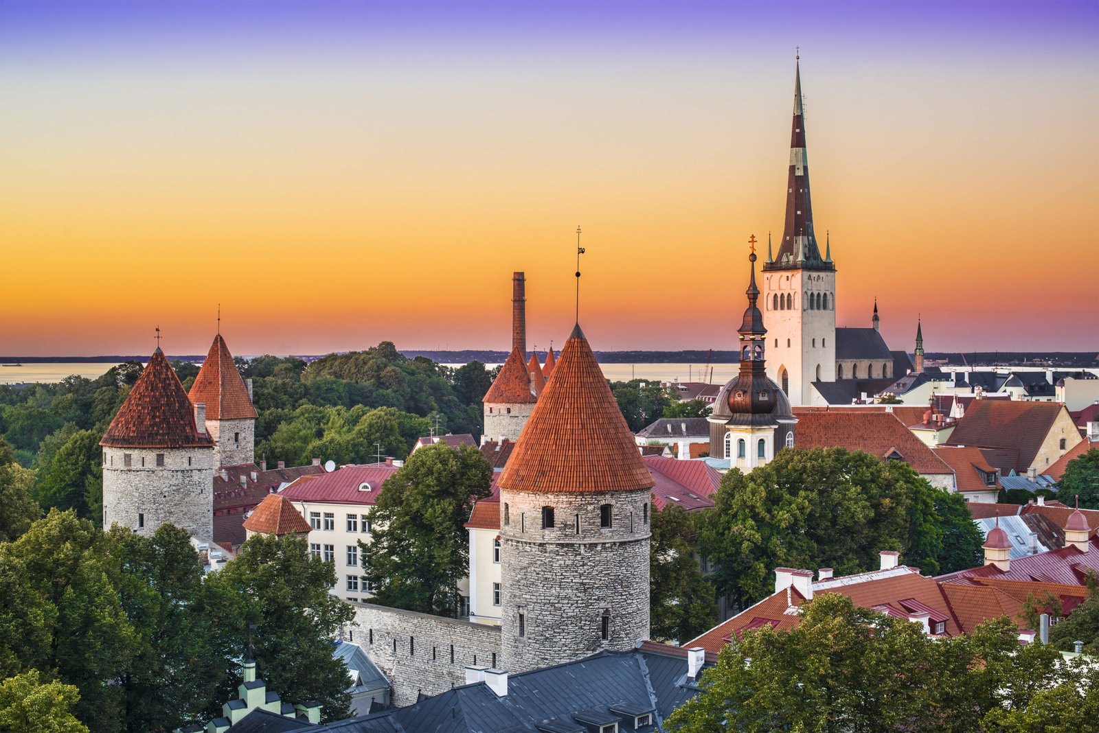 Ready-Made Company in Estonia for Sale